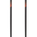Горнолыжные палки  Fischer RC4 The Curv