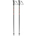 Горнолыжные палки  Fischer RC4 The Curv