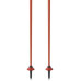 Горнолыжные палки  Fischer RD 16 SL